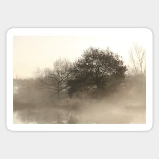 Lake, autumn mood, ground fog, hoarfrost, trees, landscape, Fischerhude, Lower Saxony, Germany Sticker